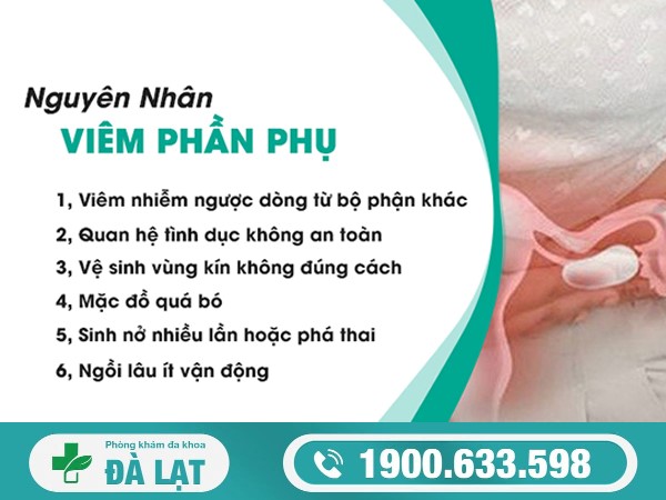 Hình ảnh minh họa